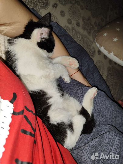 Малыш с приданым в добрые руки