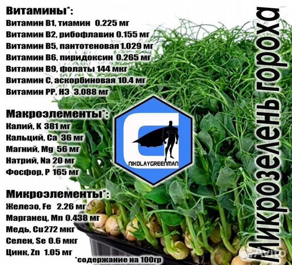 Проростки гороха