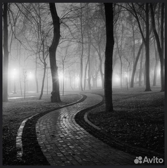 Nikon Coolscan 8000ED