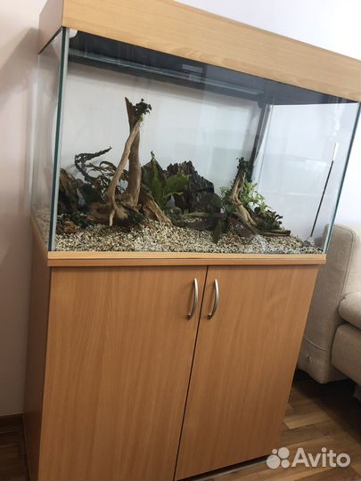 Обслуживание аквариумов