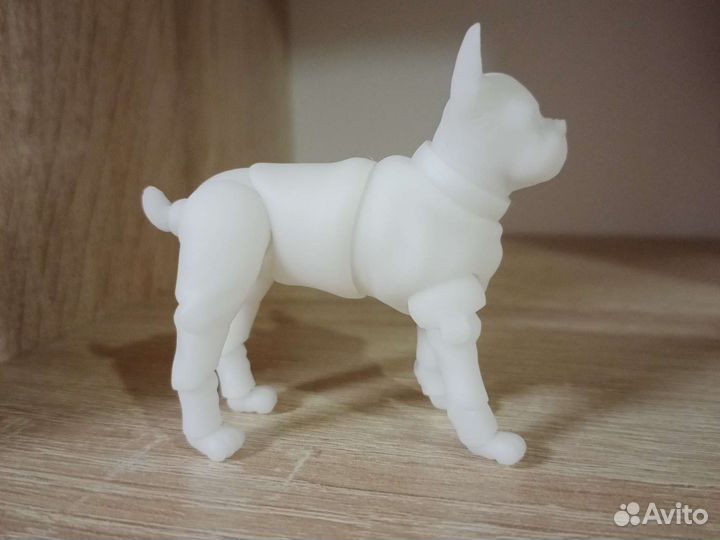 Бжд сфинкс, французский бульдог, ориентал кот