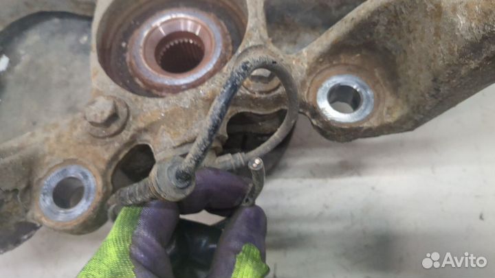 Ступица (кулак, цапфа) Land Rover Discovery 4, 2011