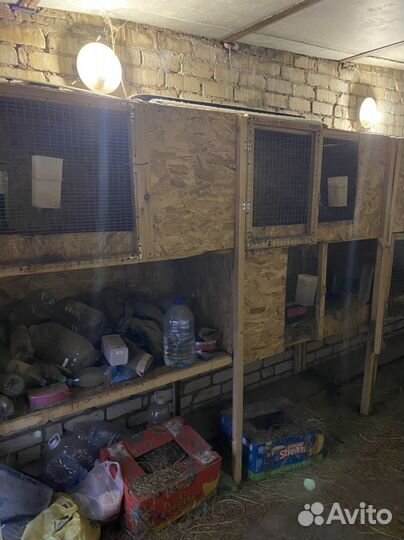 Клетки для кроликов