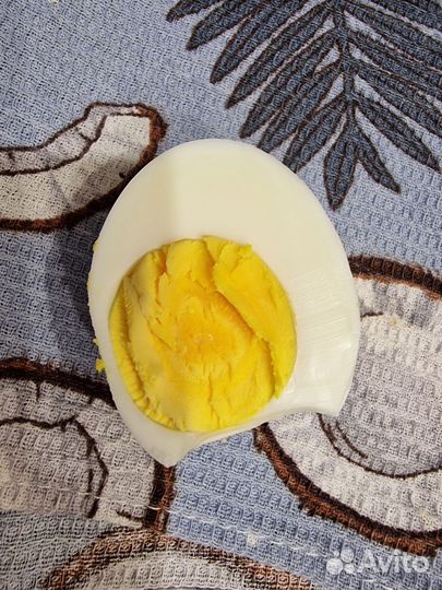Домашние куриные яйца