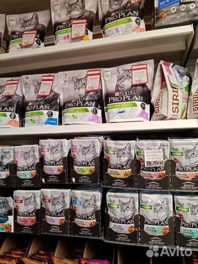 Товары для животных