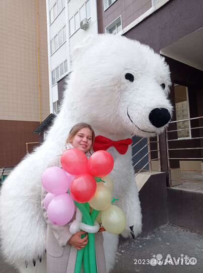 Поздравление от чебурашки и белого мишки