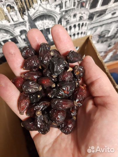 Шиповник сушеный