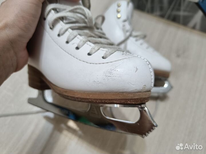 Коньки Jackson elle 11