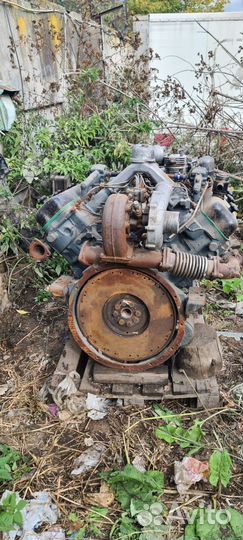 Двигатель 236 турбо evro 2