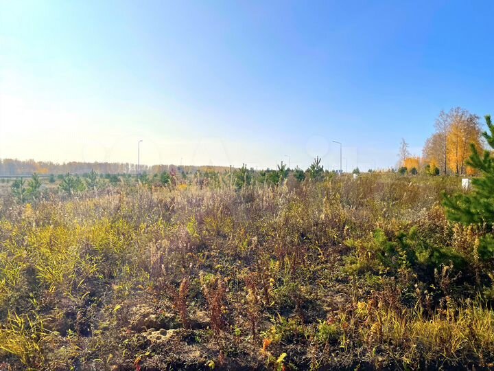 Участок 30 сот. (СНТ, ДНП)