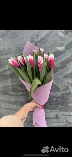 Тюльпаны к 8 марта