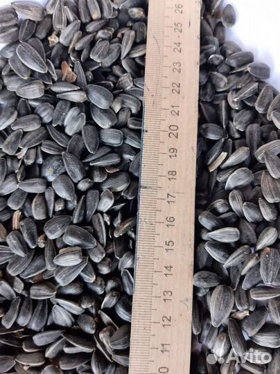 Семечки подсолнечника в мешках