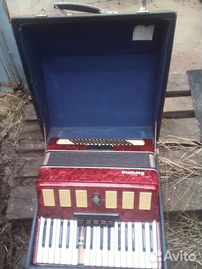 Аккордеон сюита