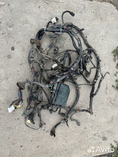 Проводка подкапотная Hyundai Accent