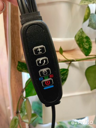 Фитолампа для растений