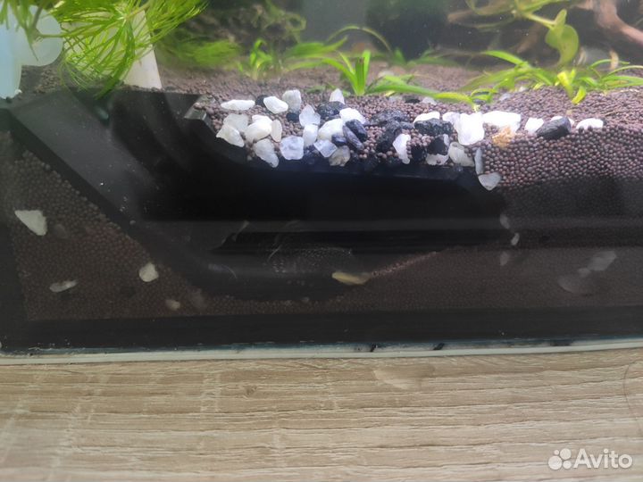 Аксессуары для аквариума
