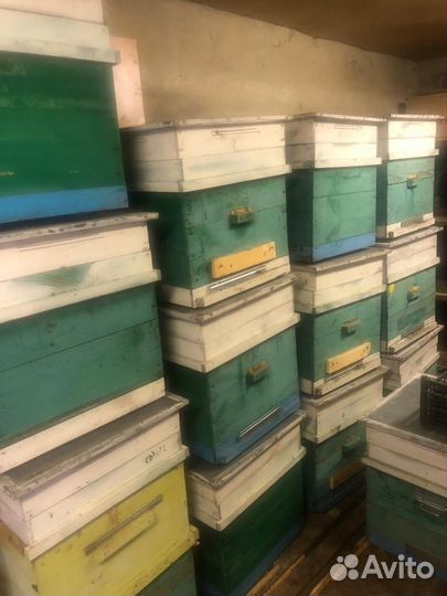 Ульи для пчел и оборудование