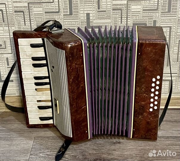 Детский аккордеон-гармонь