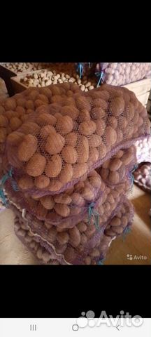 Продаю картофель крупный в сетках по 17 р