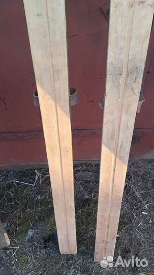 Лыжи охотничьи