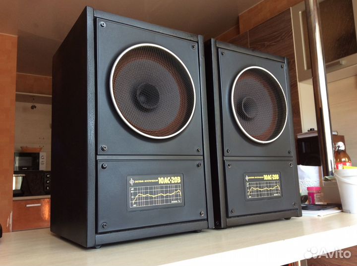 Акустика 10ас - 203