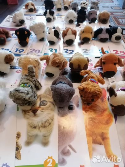 Журналы the dog collection и the cat collection