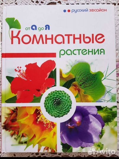 Энциклопедия комнатных растений