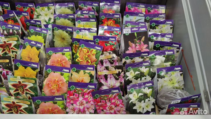 Клубни цветов