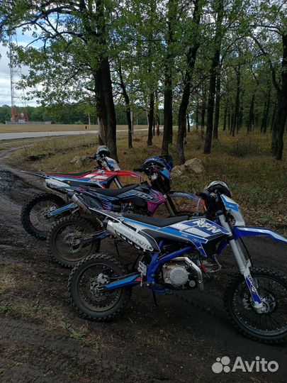 Питбайк Apollo RFN Thunder 140cc