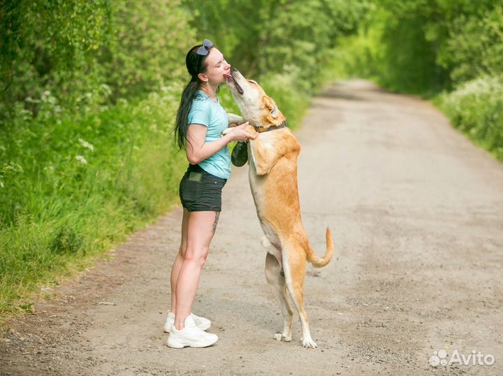 Ваш пёс у нас