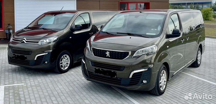 Трансфер в аэропорт, аренда минивэна, межгород