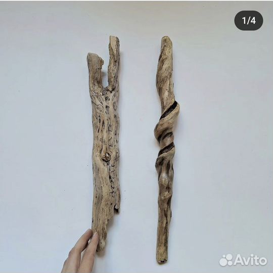 Коряги дрифтвуд