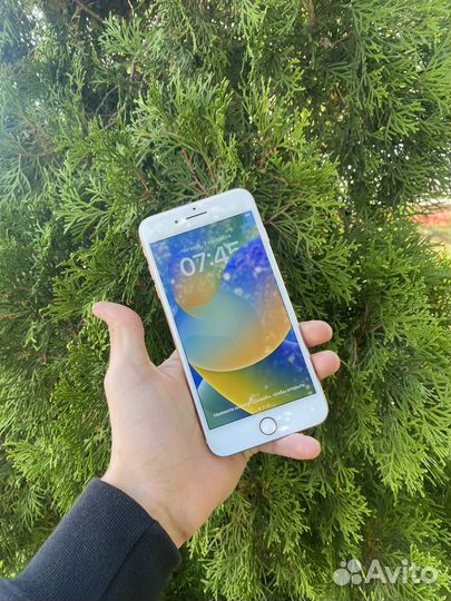 iPhone 8 plus 64gb