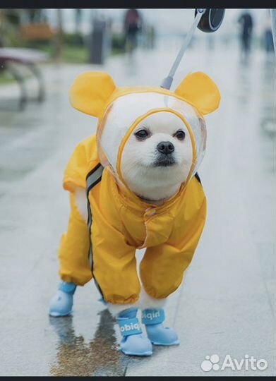 Дождевик для маленькой собаки