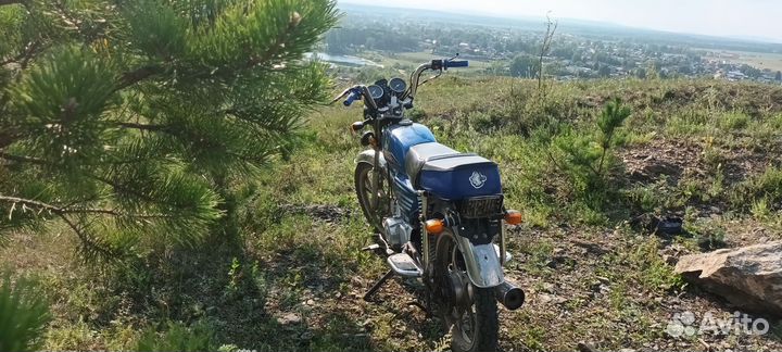 Irbis virago