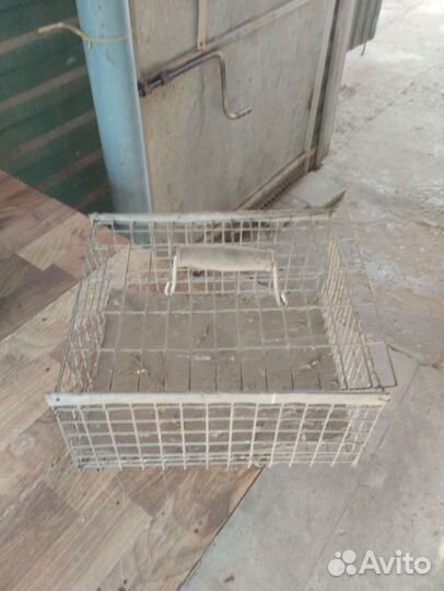 Клетка для голубей