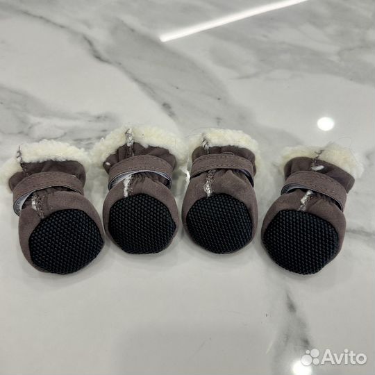 Обувь для собак