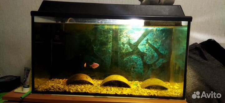 Аквариум