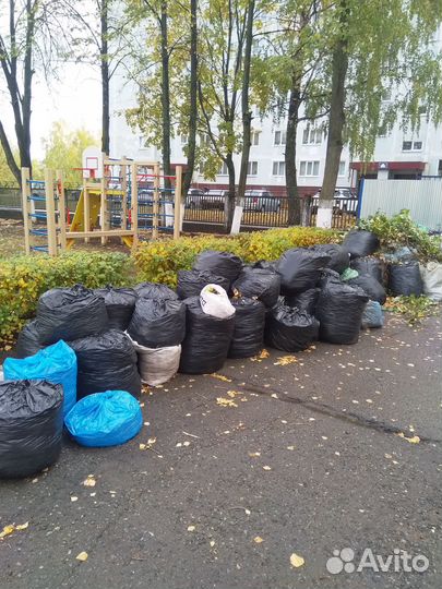 Листовой опад