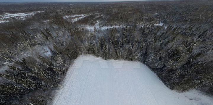 Участок 4,96 га (СНТ, ДНП)