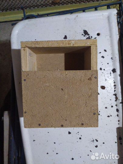 Домики для птиц