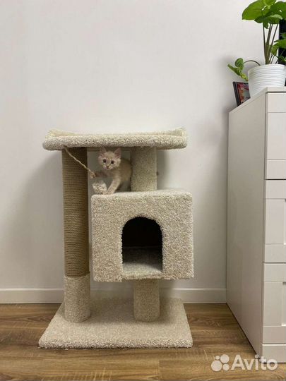 Домик для кошки/когтеточка/когтедралка