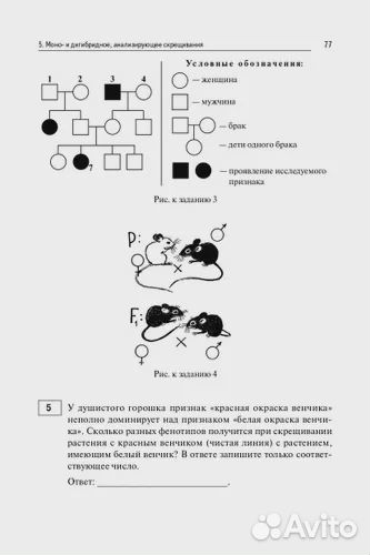 ЕГЭ биология 2024 тематический тренинг