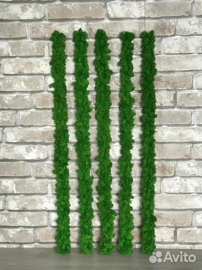 Рейки из стабилизированного мха ягеля