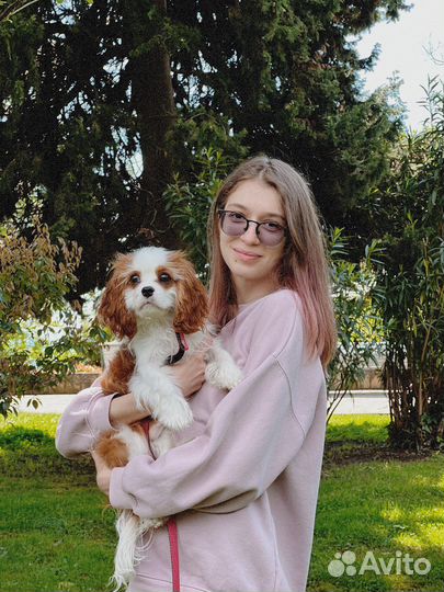 Няня для собак (догситтер)