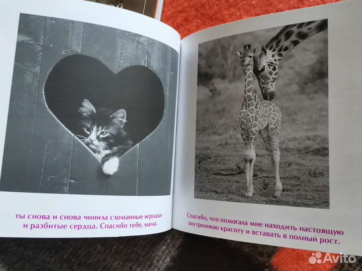 Бредли Тревор Грив - Мамочка, Папочка