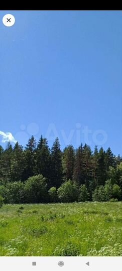 Участок 11 сот. (СНТ, ДНП)