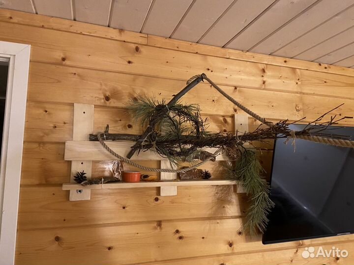 Хобби для животных