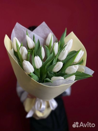 Тюльпаны к 8 марта букеты
