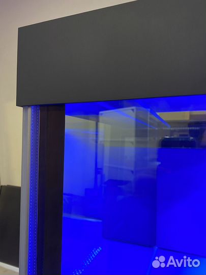 Аквариум для живой речной рыбы